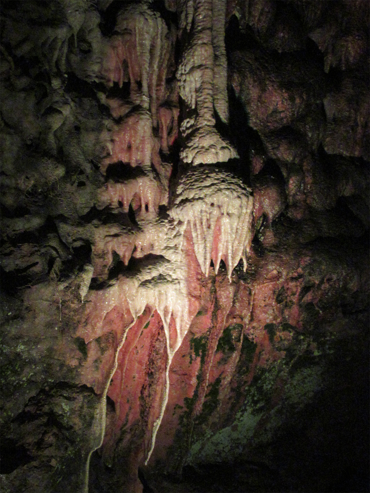 מערות הווקי בסומרסט