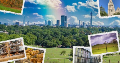 primrose hill london - travel recommendations